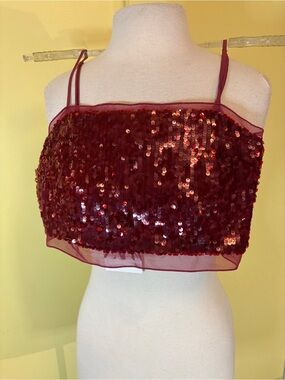 Zara Burgundy Sequin Top with Side Zip